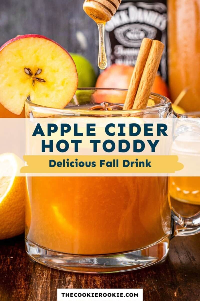 apple cider hot toddy pinterest