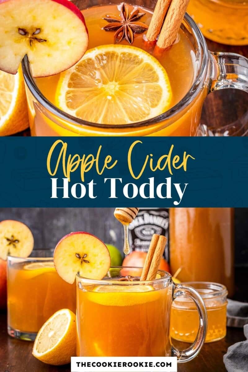 apple cider hot toddy pinterest