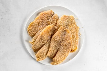 4 breaded tilapia filets on a white plate before cooking