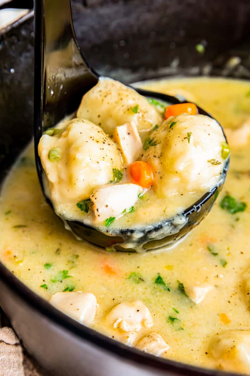 ladle in a pot full of chicken and dumplings