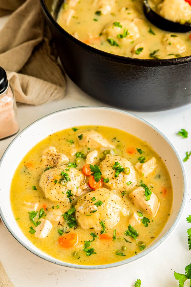 chicken and dumplings in a white bowl