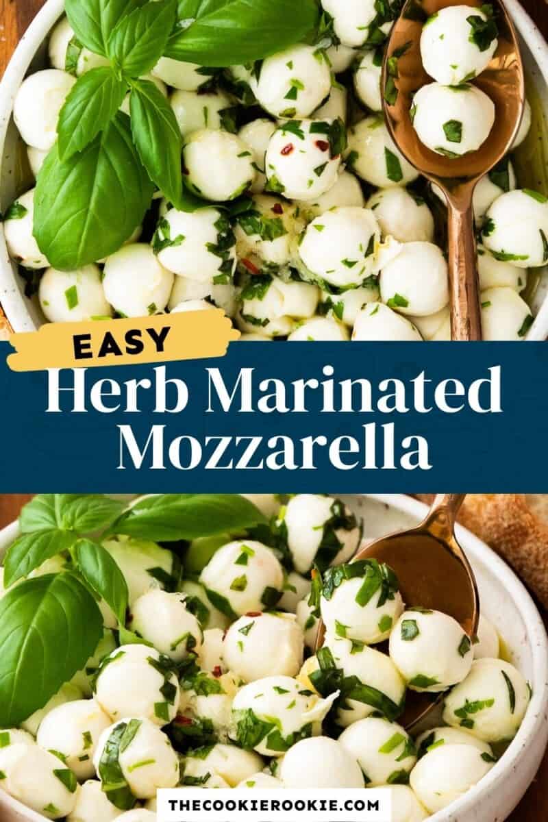 herb marinated mozzarella pinterest