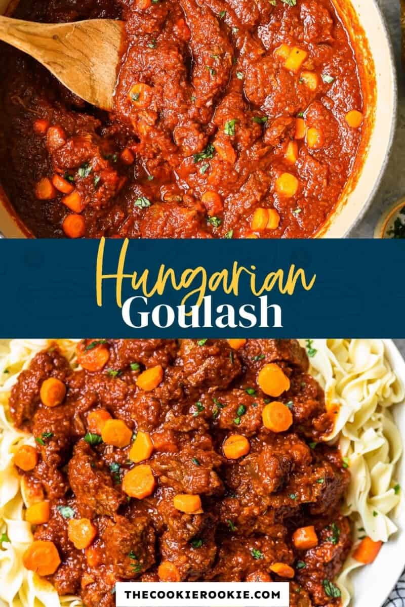 hungarian goulash pinterest