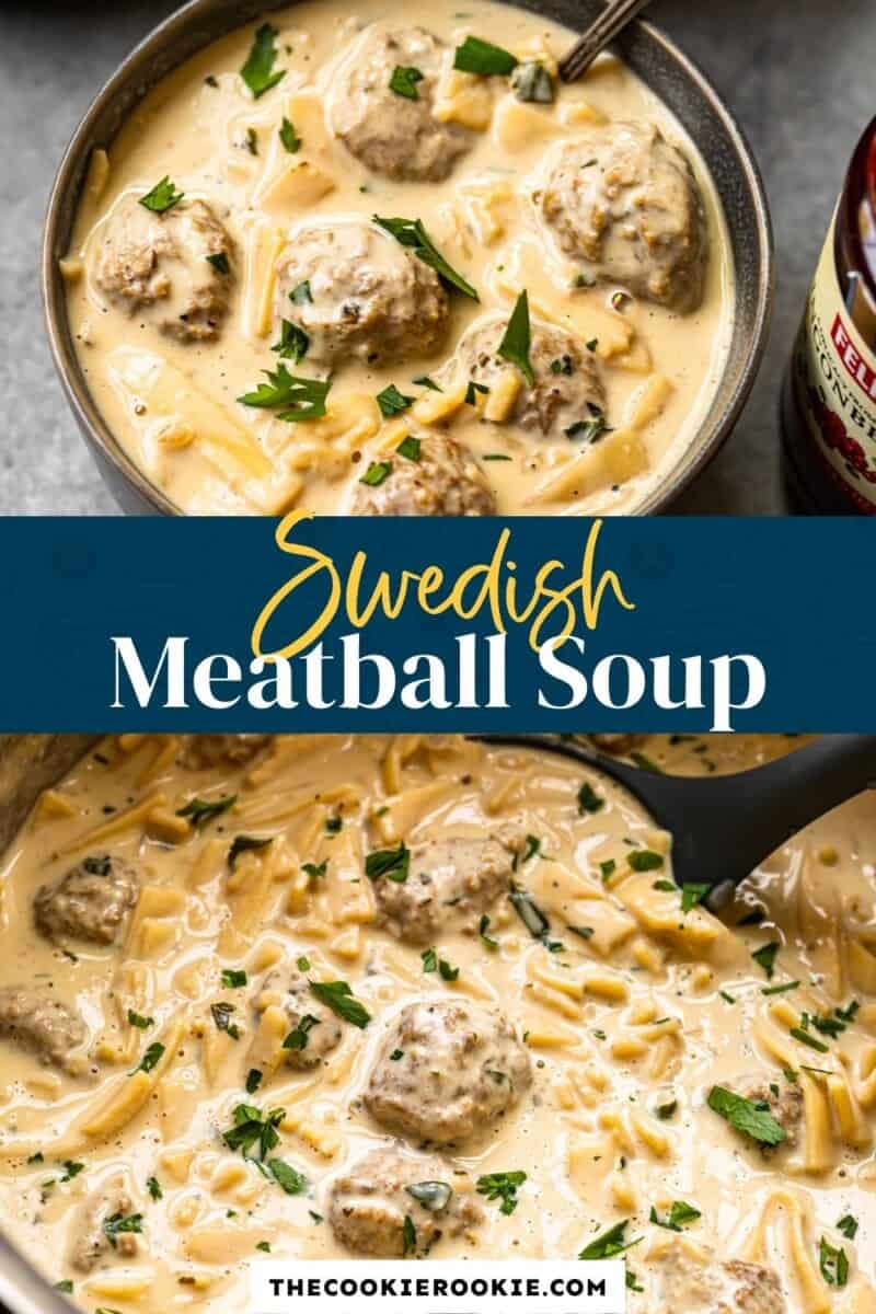 swedish meatball soup pinterest