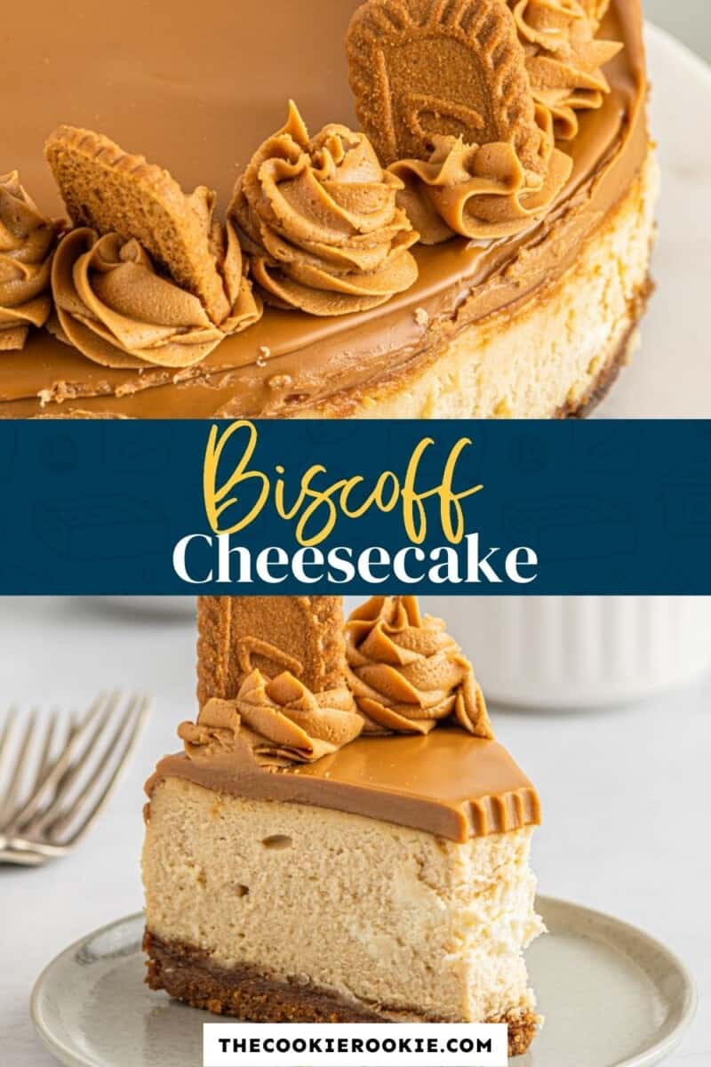 biscoff cheesecake pinterest