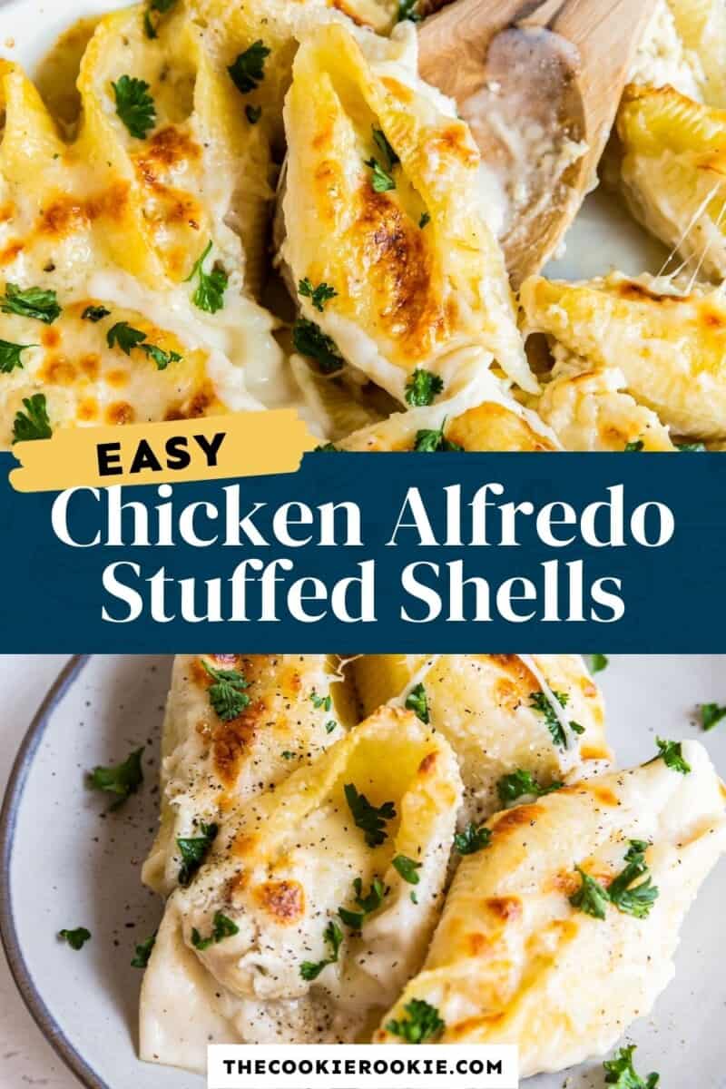 chicken alfredo stuffed shells pinterest