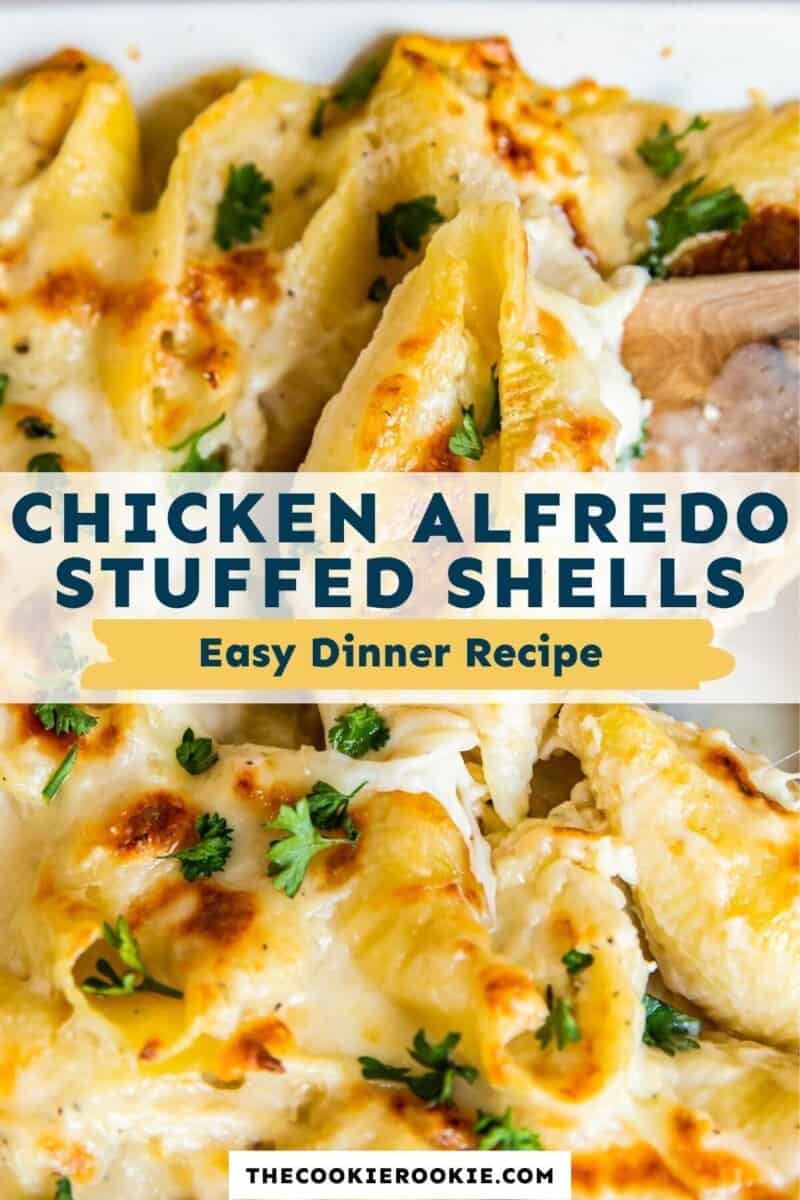 chicken alfredo stuffed shells pinterest