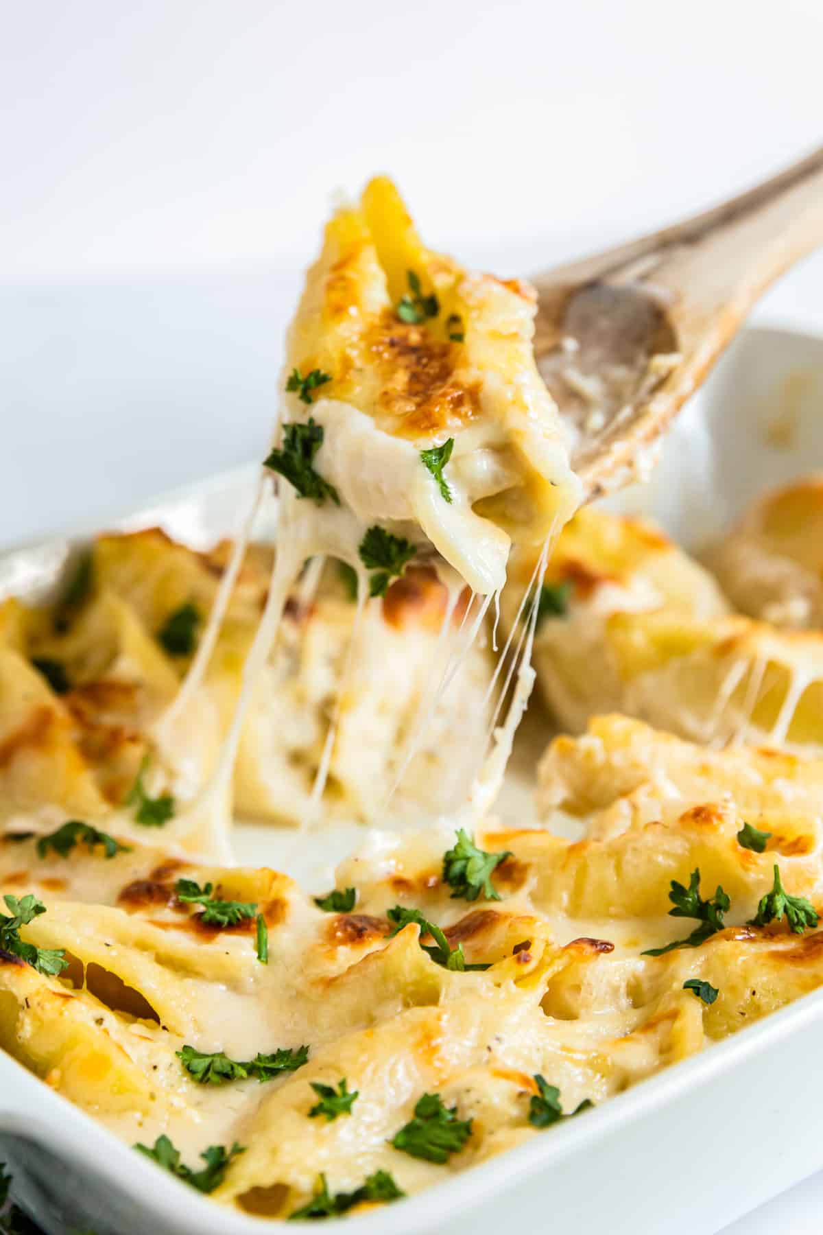 chicken alfredo stuffed shell being removed from the baking dish on a wood spoon