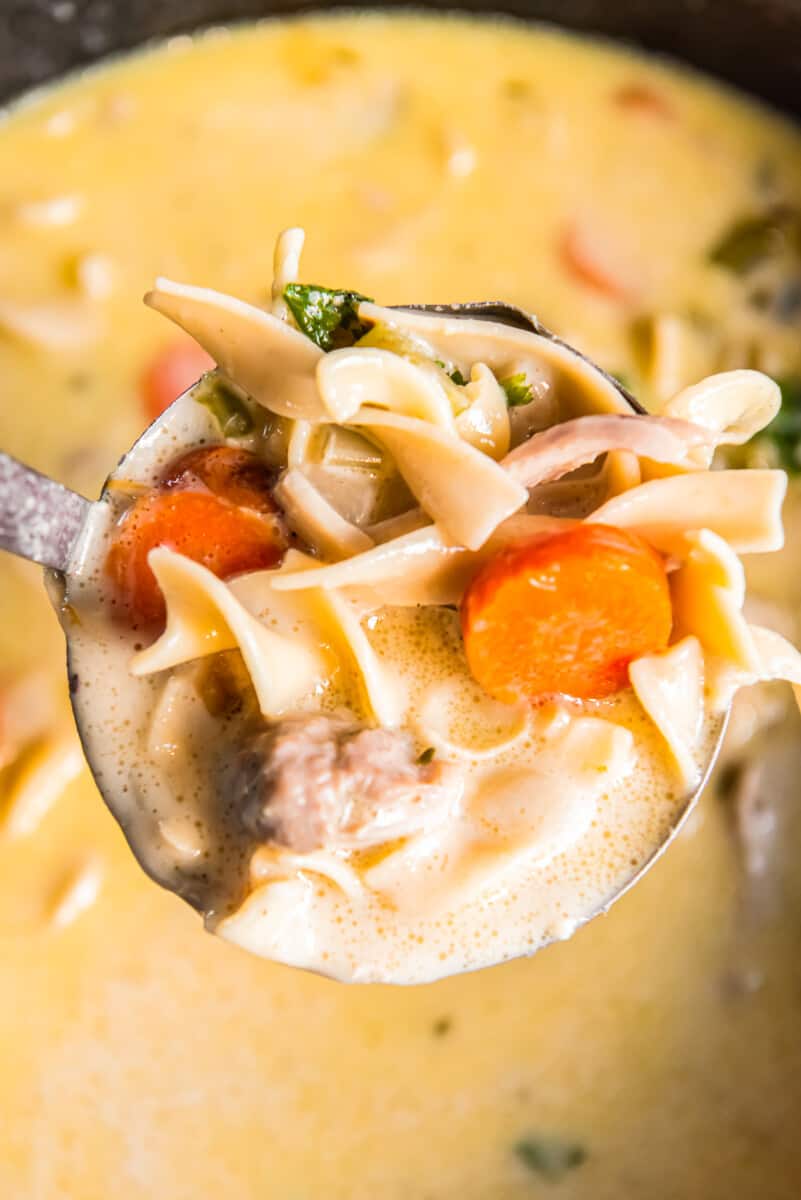 ladle of creamy chicken noodle soup