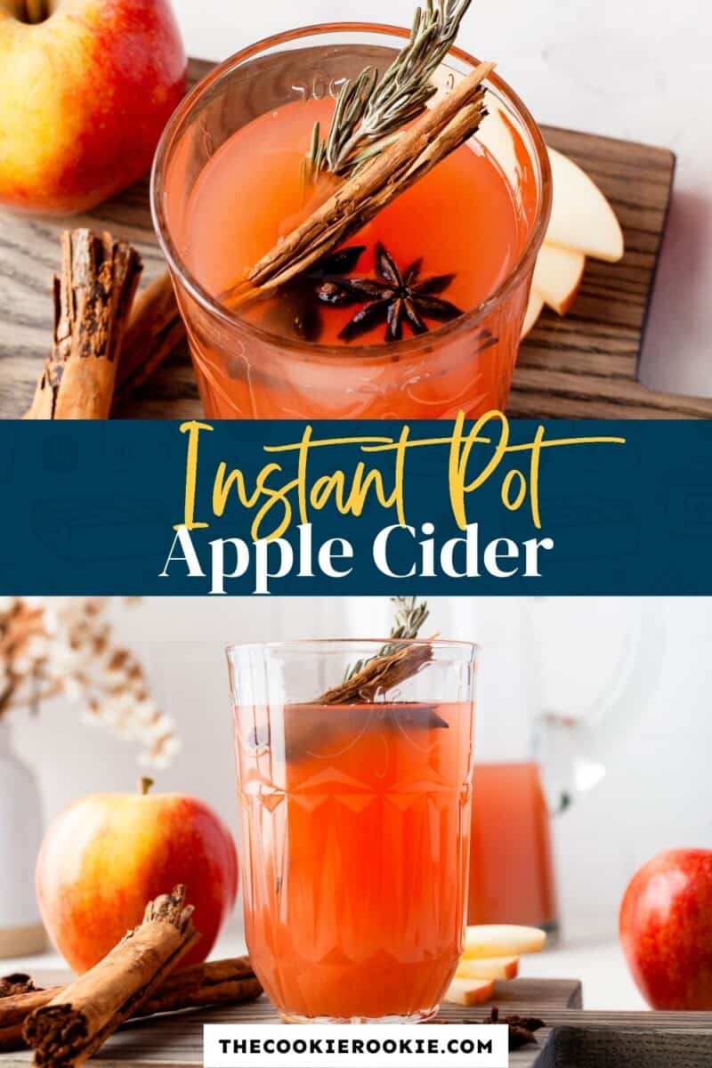 instant pot apple cider pinterest