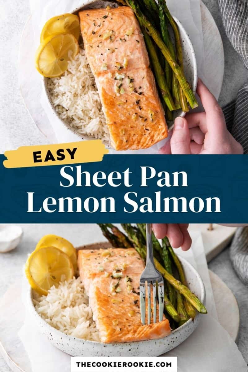 sheet pan lemon salmon pinterest.