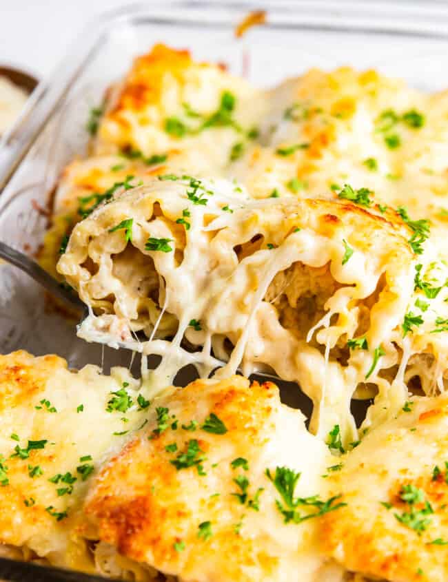 spatula lifting a chicken alfredo lasagna roll up out of the casserole dish