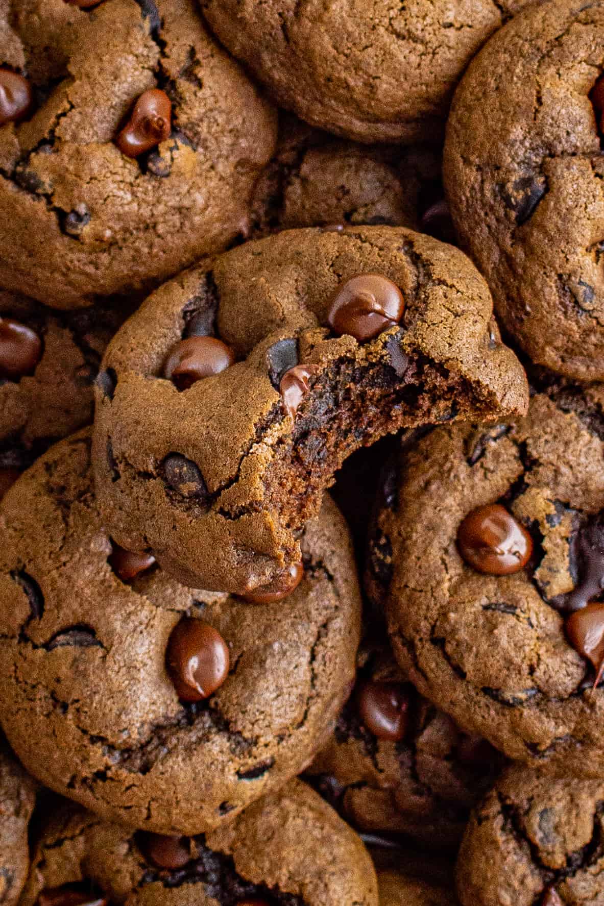 mocha cookies with a bite taken from one cookie