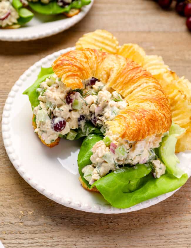 chicken salad on a croissant on a white plate