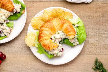 chicken salad on a croissant on a white plate