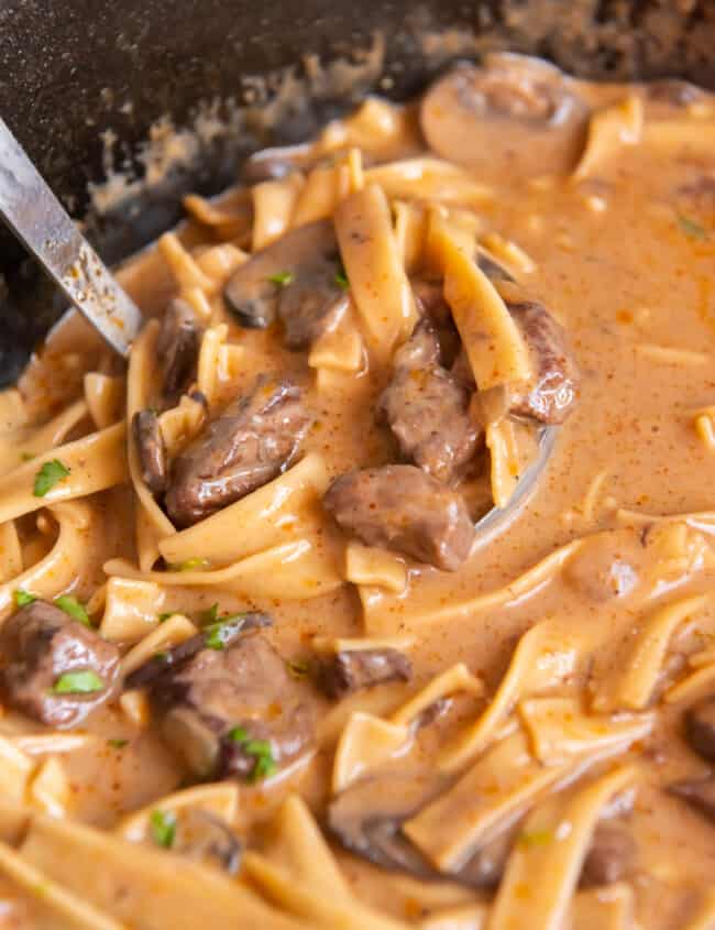 ladle of beef stroganoff soup in a pot