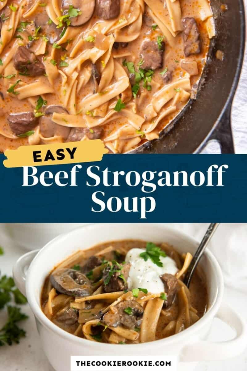 beef stroganoff soup pinterest