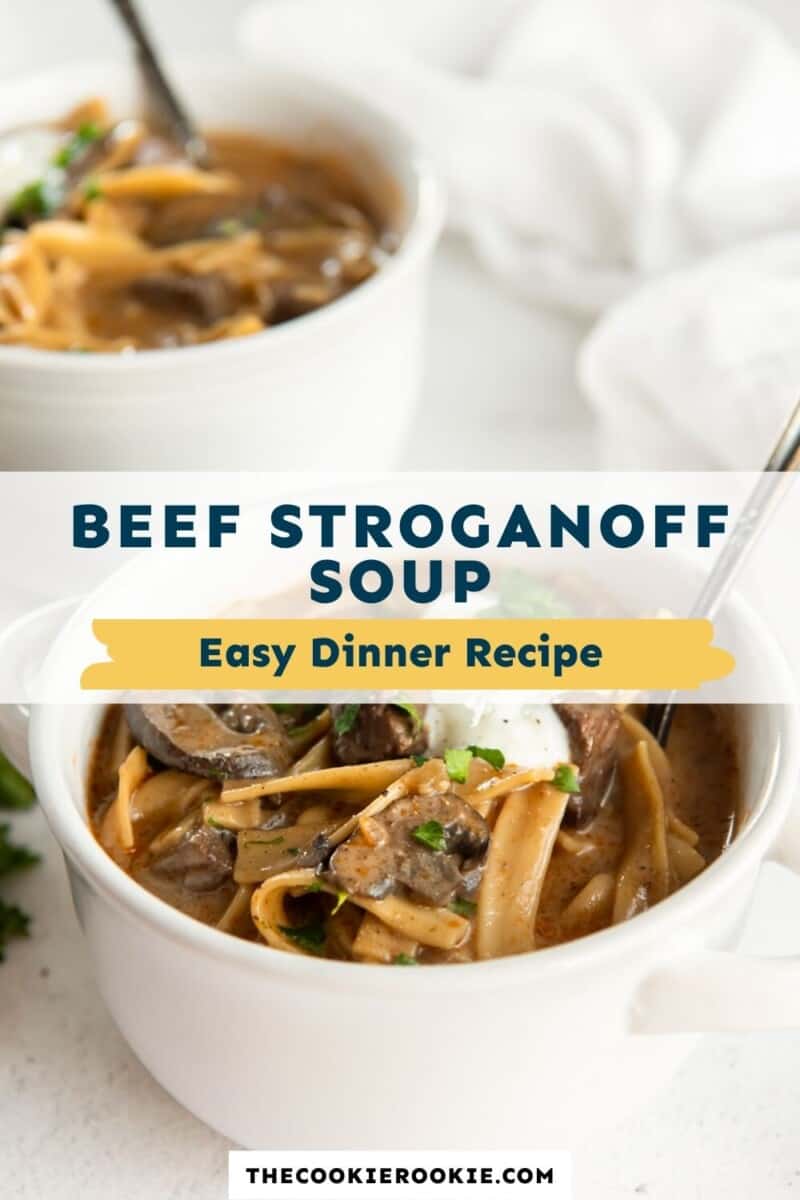 beef stroganoff soup pinterest