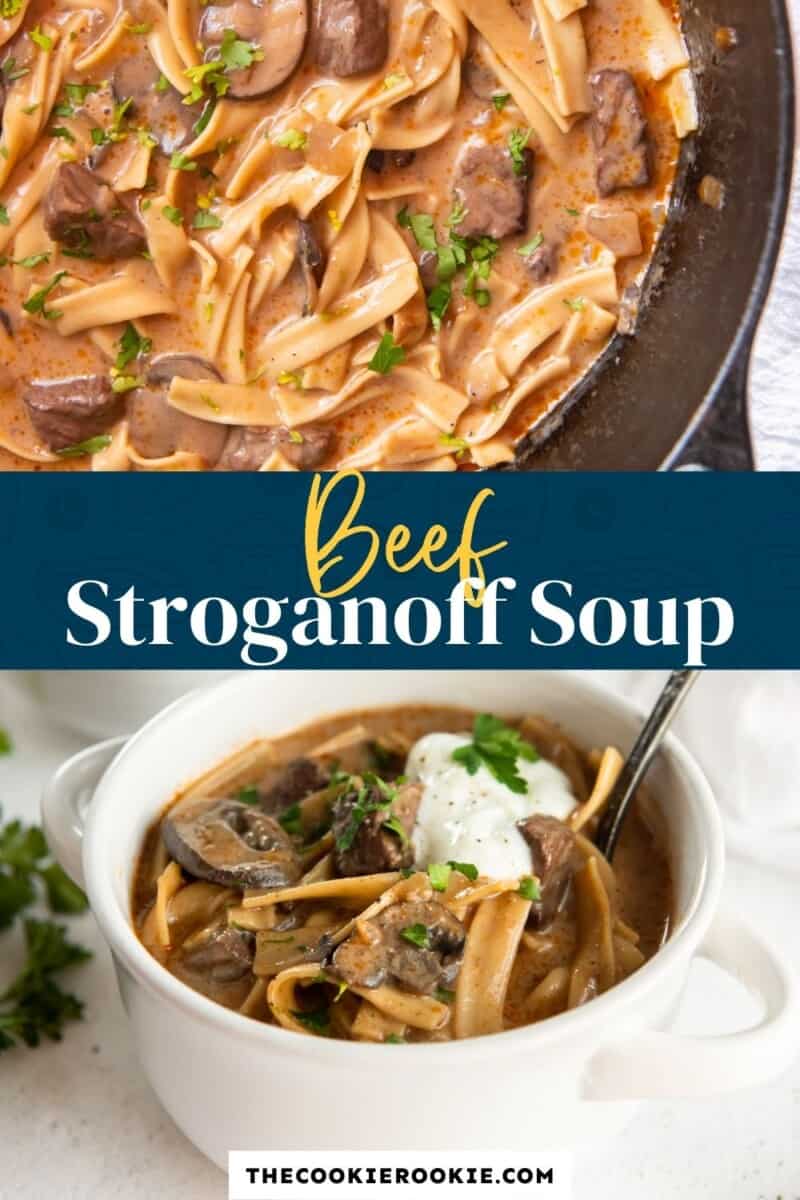 beef stroganoff soup pinterest