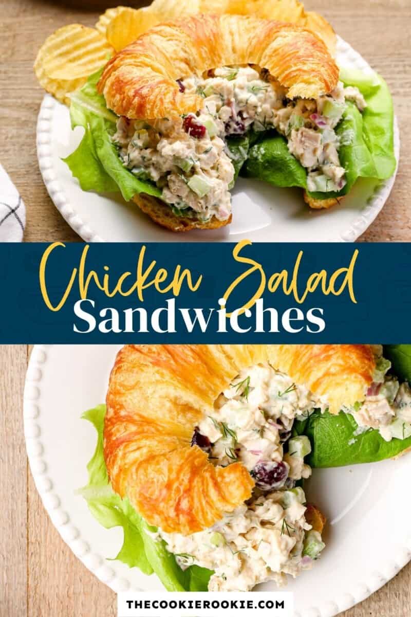 chicken salad sandwiches pinterest