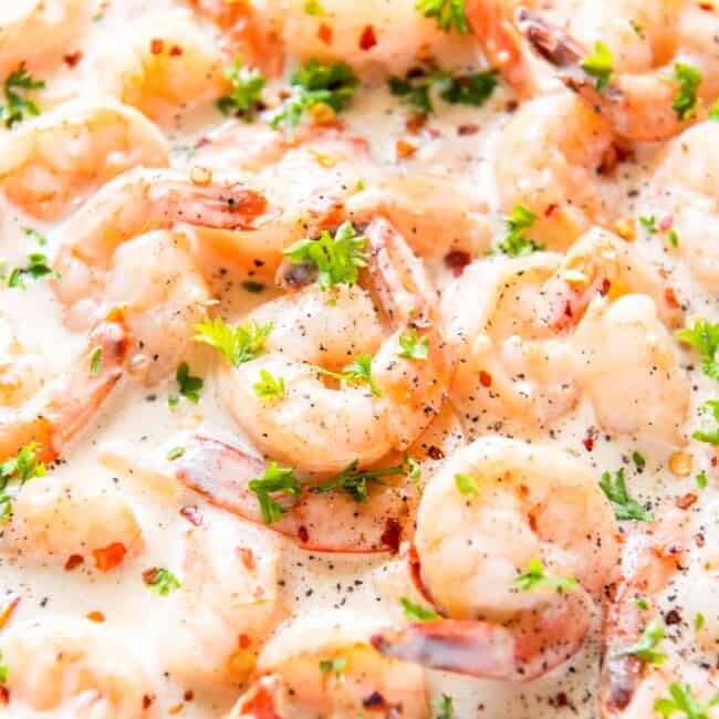 featured creamy parmesan shrimp.