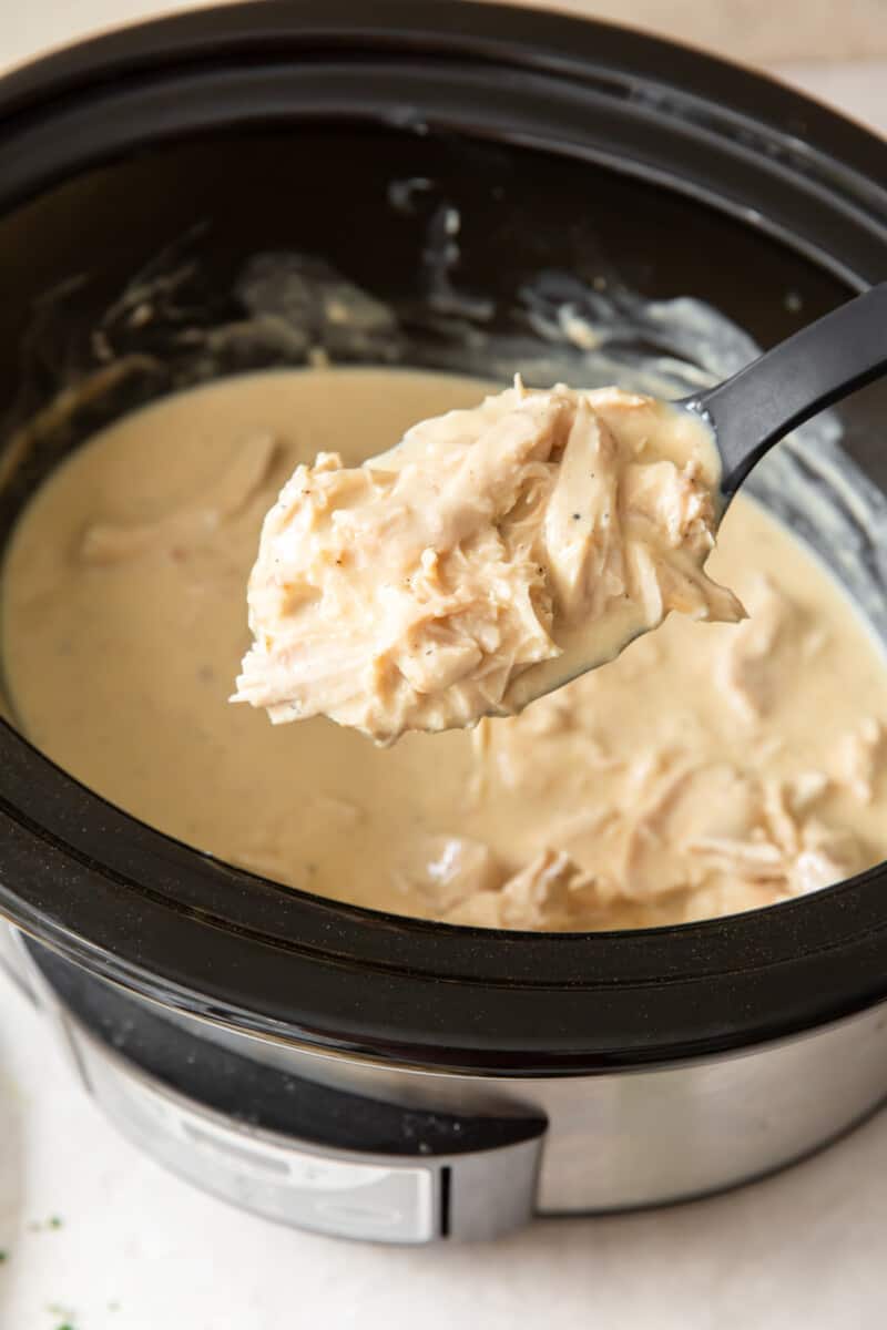 saucy shredded chicken on a spoon.