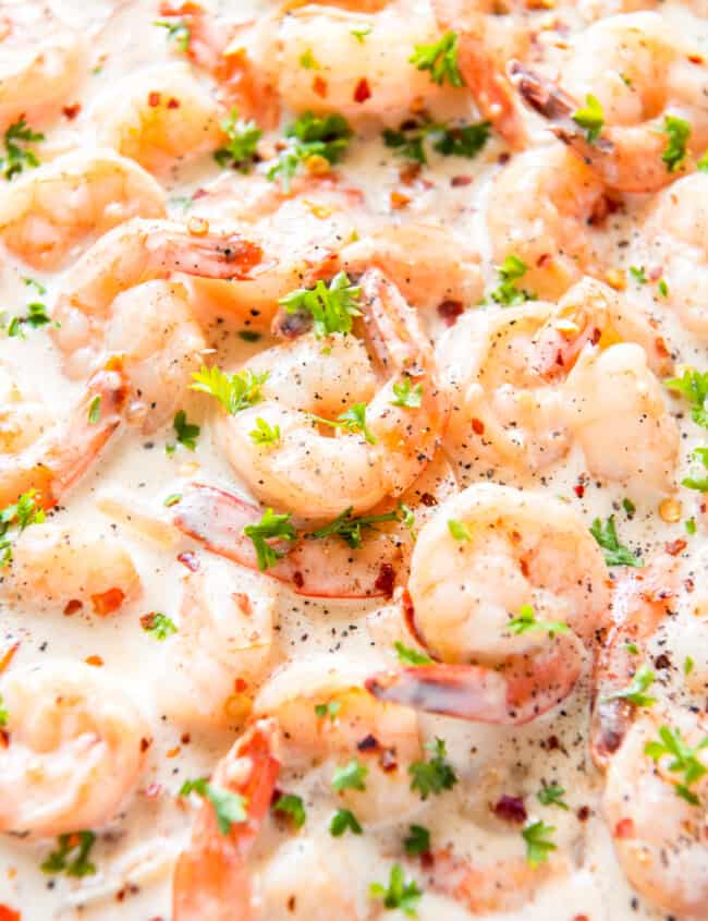 featured creamy parmesan shrimp.