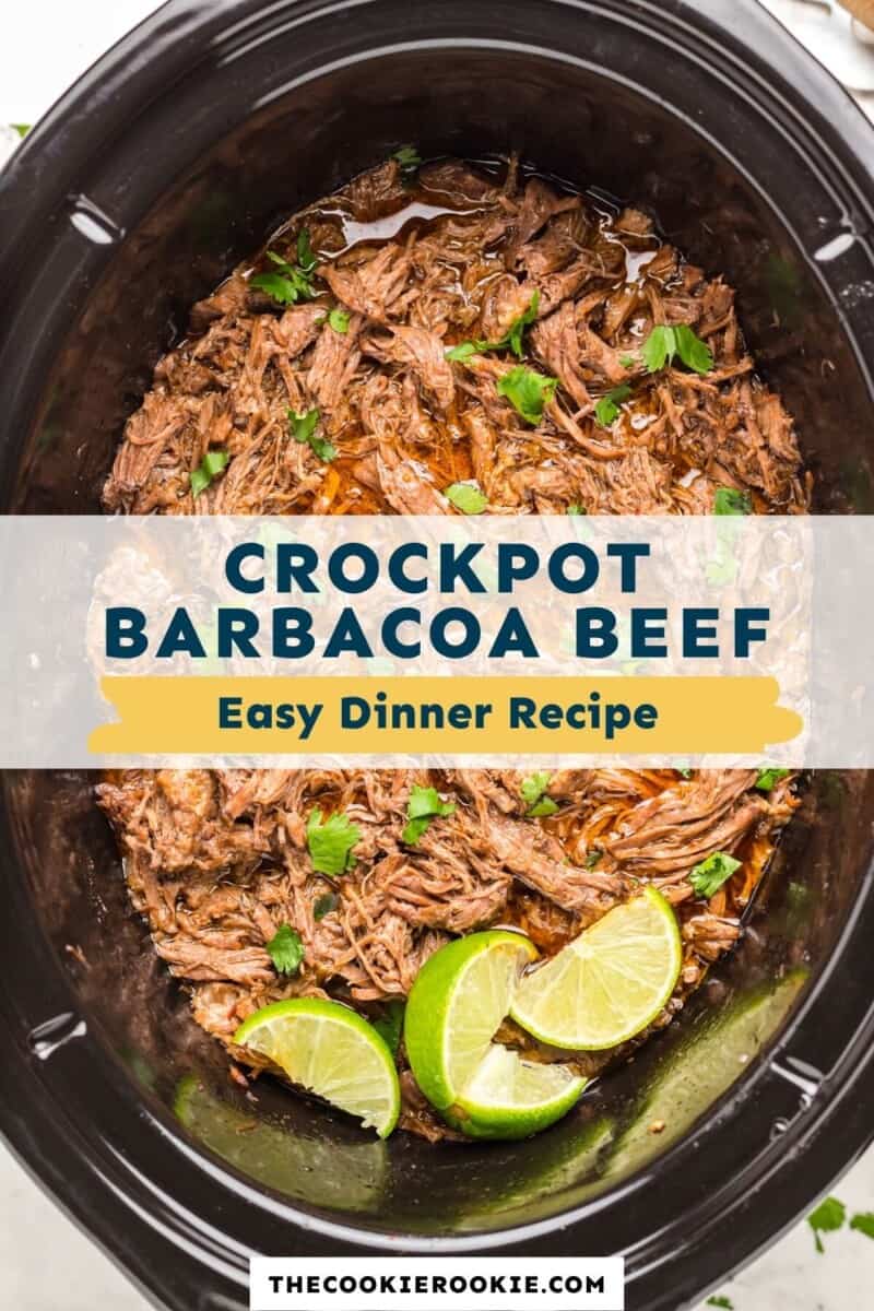 crockpot barbacoa beef pinterest.