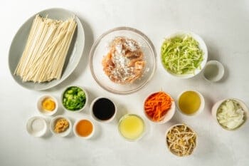 seasoned chicken in a glass bowl surrounded by ingredients for chicken lo mein.