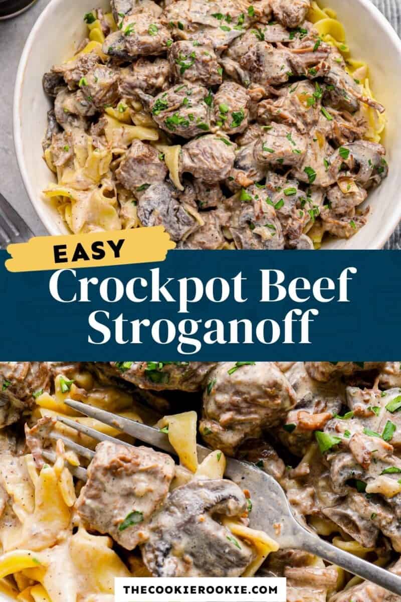 crockpot beef stroganoff pinterest.