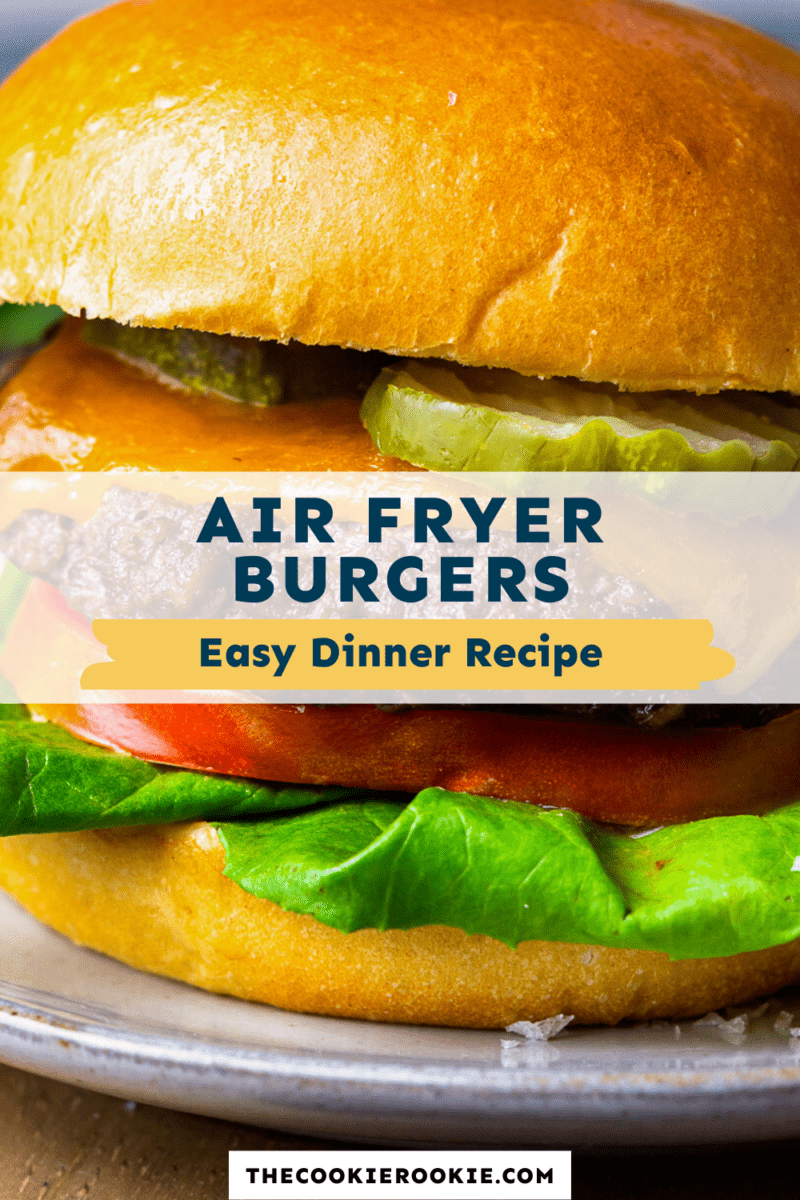 air fryer burgers pin