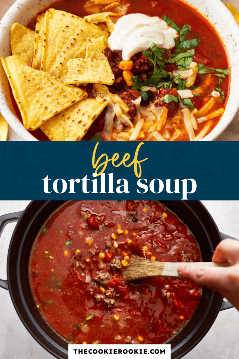 A bowl of beef tortilla soup.