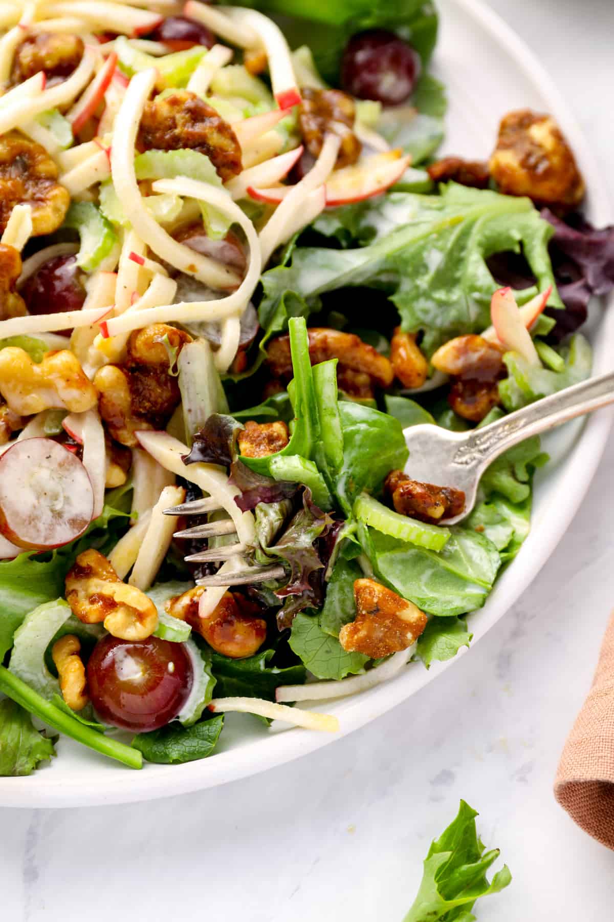 close up on a classic Waldorf salad