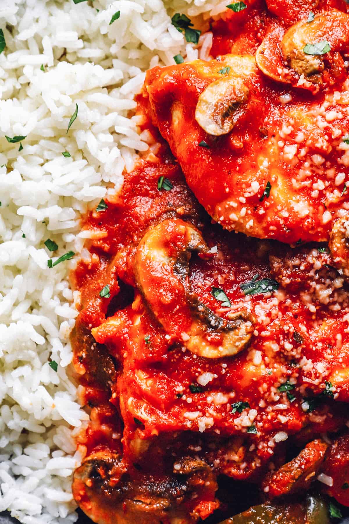 close up view of crockpot chicken cacciatore with rice.