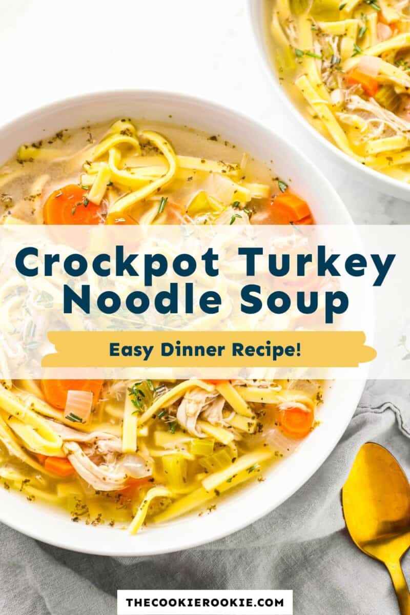 crockpot turkey noodle soup pinterest