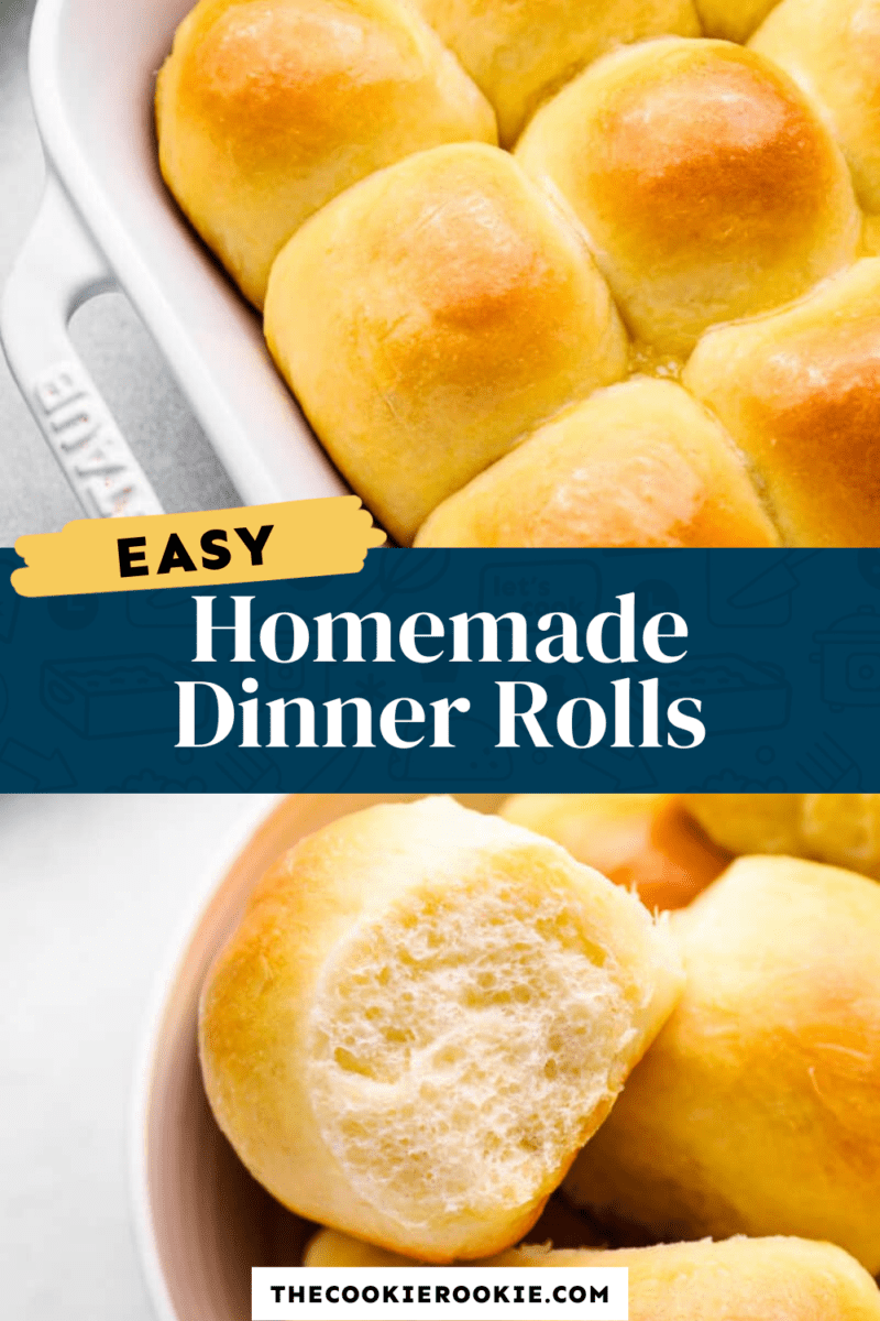 homemade dinner rolls pinterest