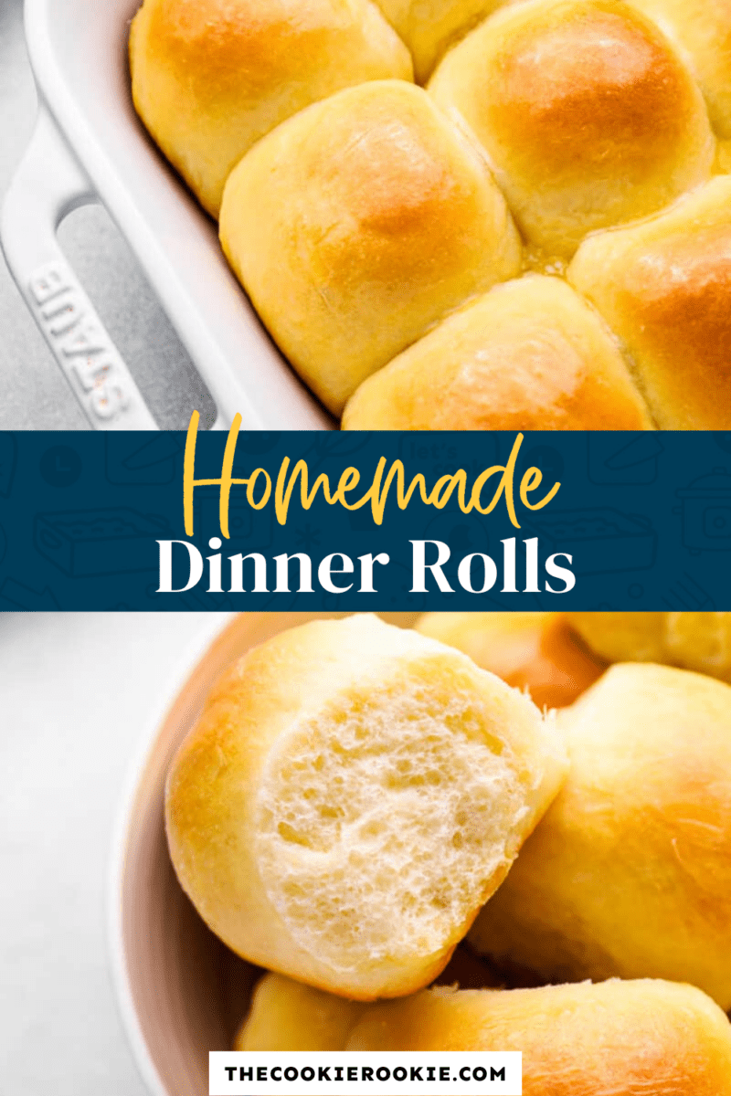 homemade dinner rolls pinterest