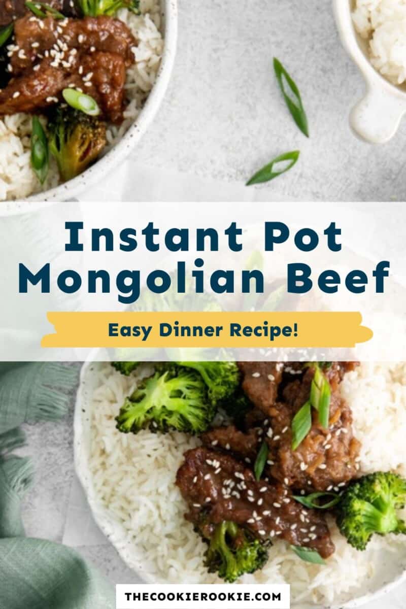 instant pot Mongolian beef pinterest