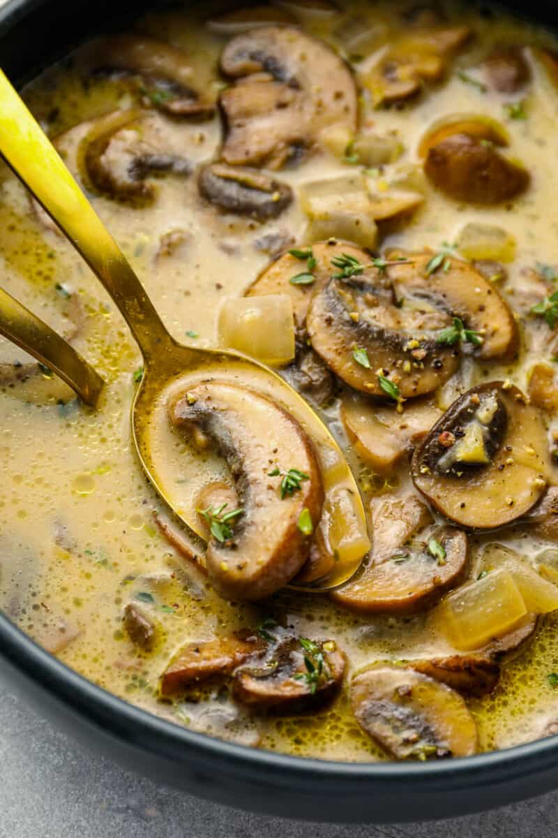 close up of a spoonful of mushroom soup hovering over a bowl.