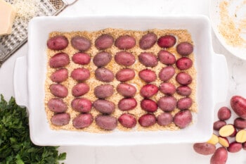 halved red potatoes face down in a baking pan filled with parmesan and breadcrumbs.