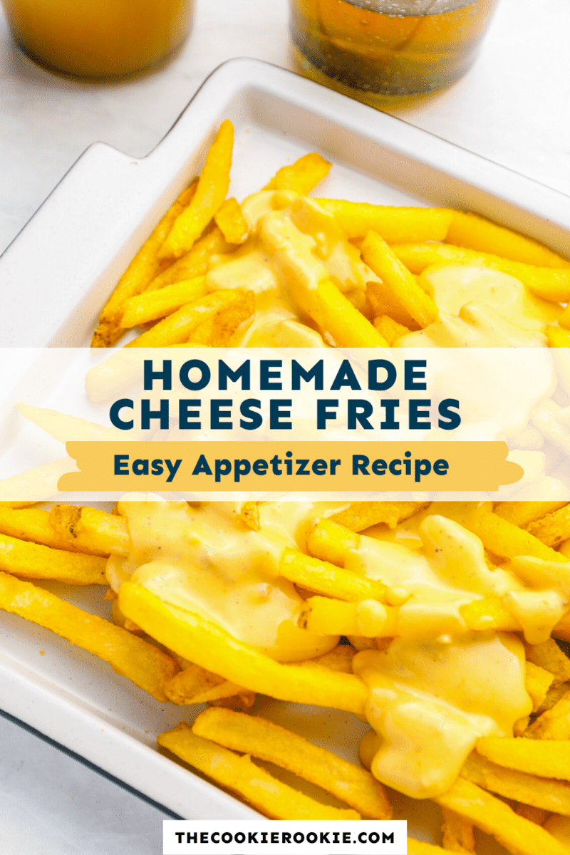 cheese fries pinterest