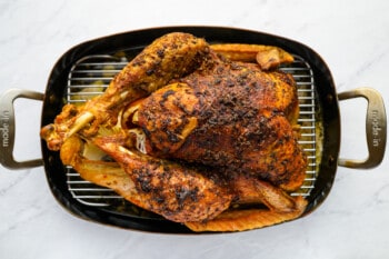 roasted turkey in a roasting pan on a marble countertop.