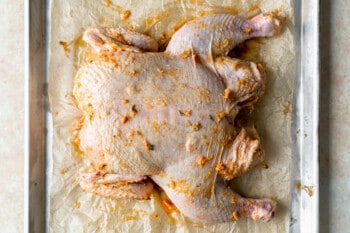 herb rubbed raw spatchcock chicken on a parchment-lined baking sheet.