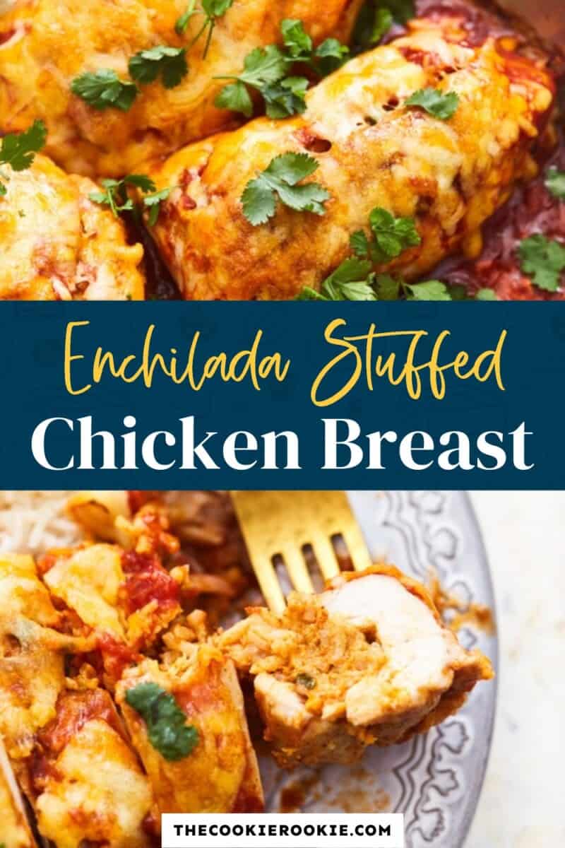 mexican chicken skillet pinterest