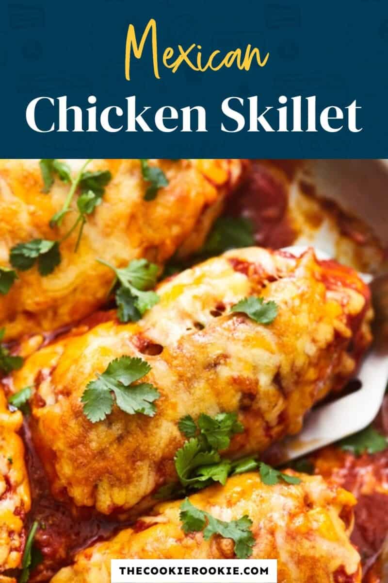 mexican chicken skillet pinterest