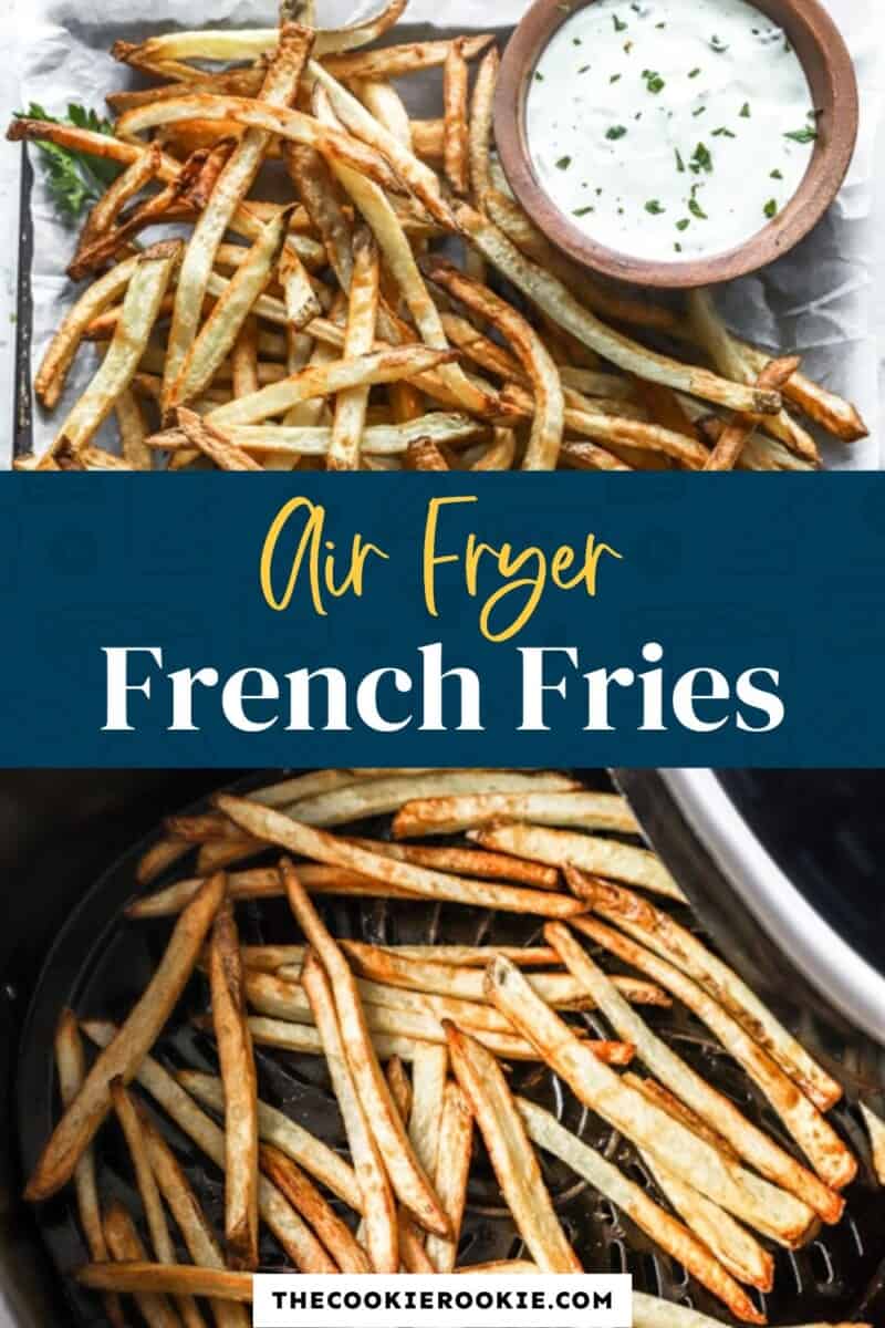 air fryer French fries pinterest