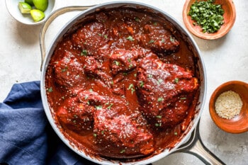 overhead view of chicken mole in a stainless steel pan.