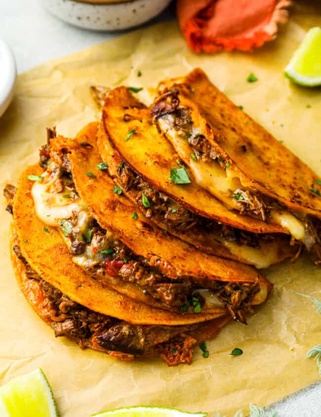 three-quarters view of 4 quesabirria tacos leaning against one another on parchment paper with the filling showing.