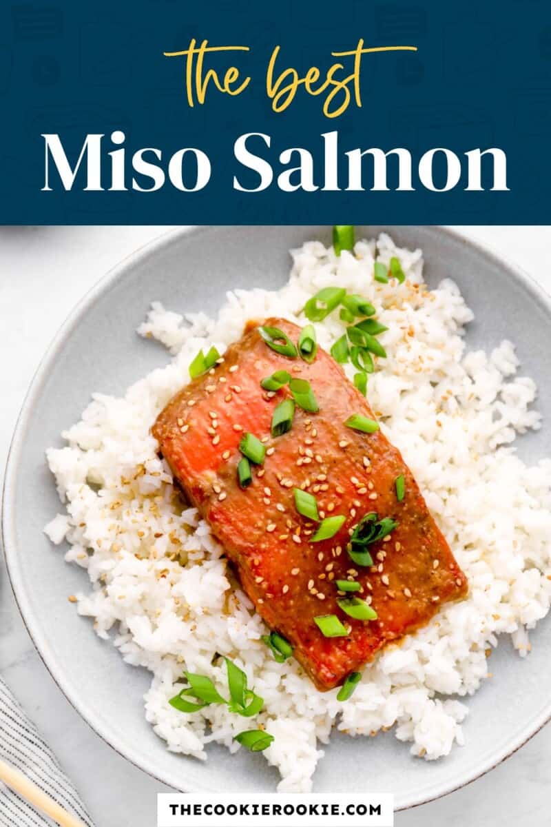 miso salmon pinterest