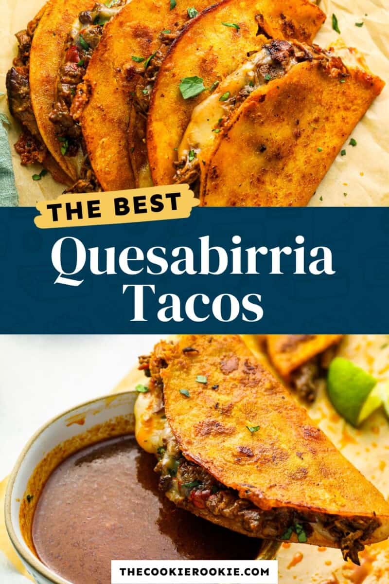 quesabirria tacos pinterest